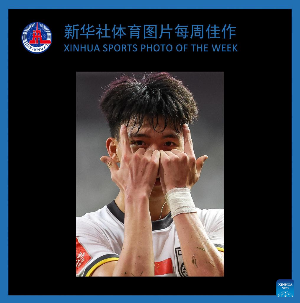 以他们卓越