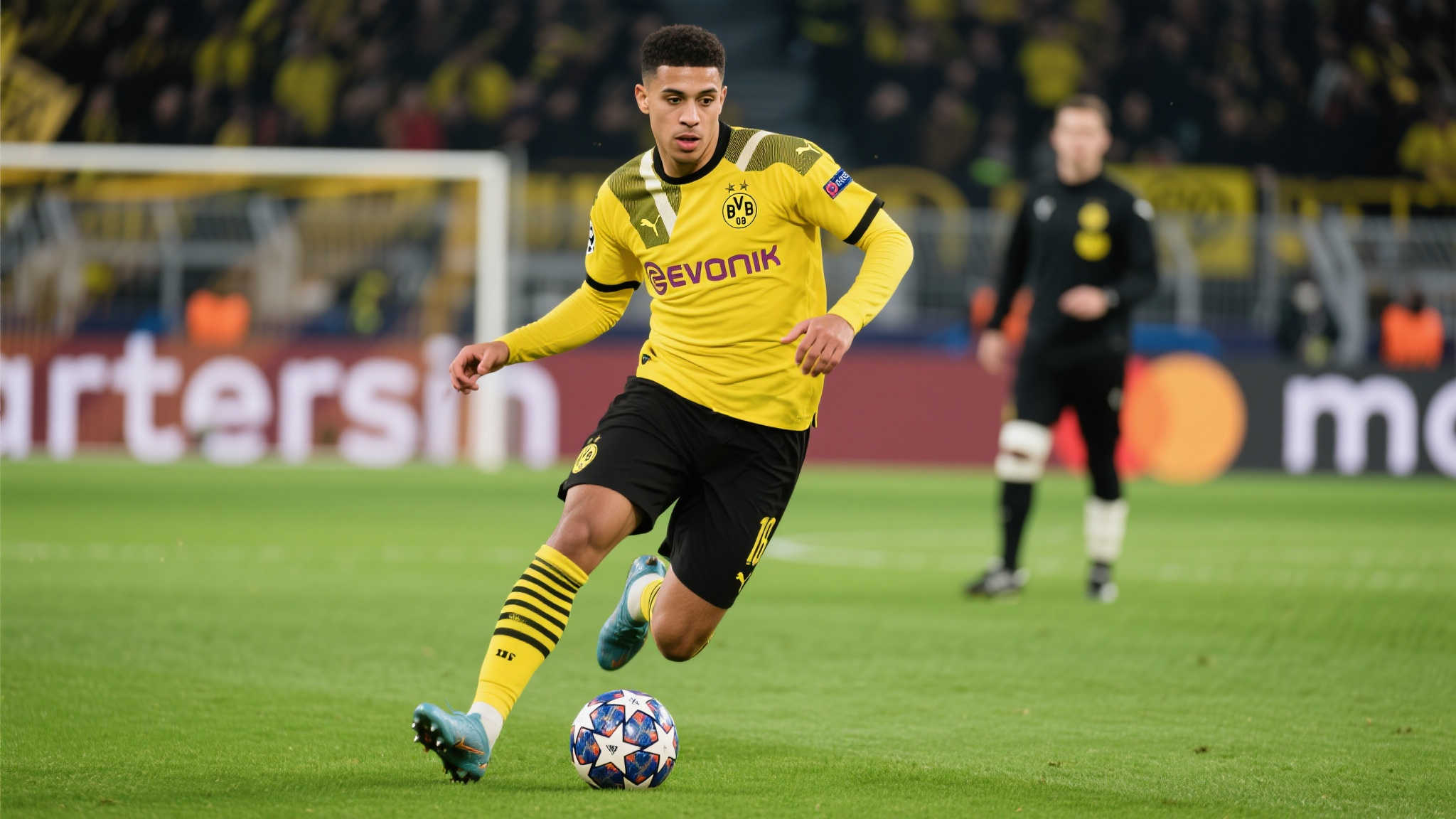 的脆弱性 的脆弱性